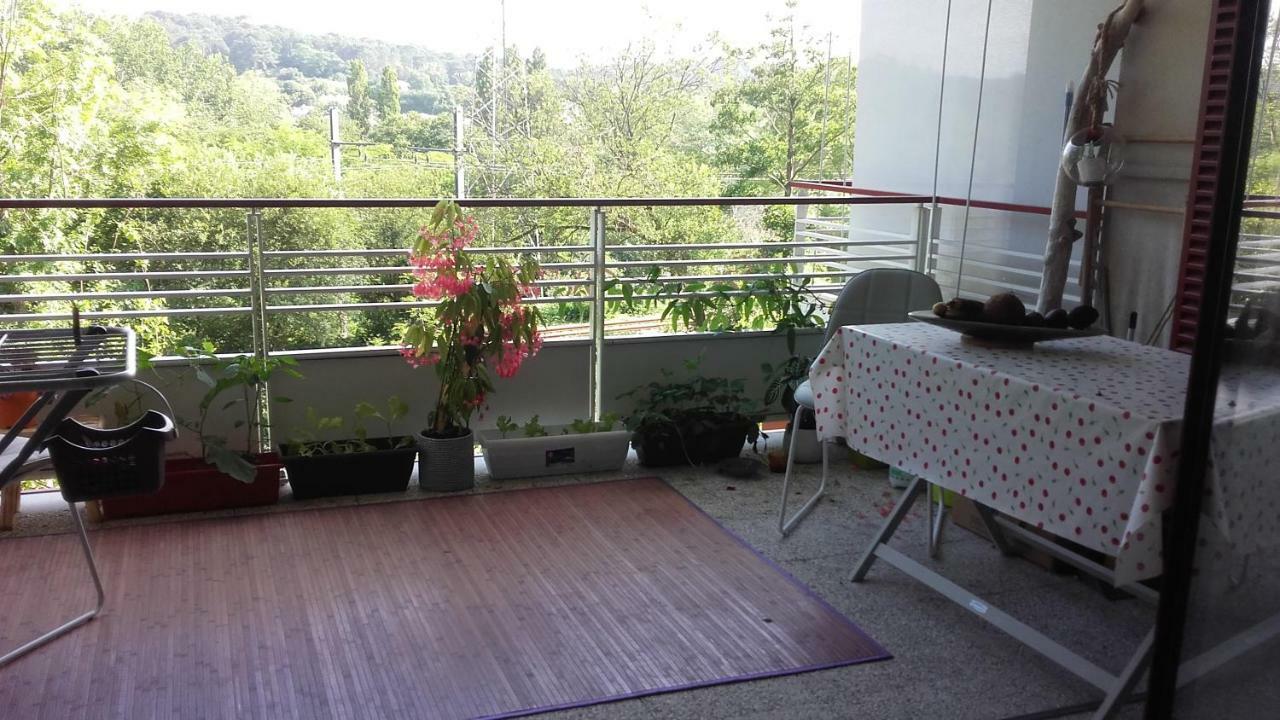 T2 Bis Avec Terrasse Vue Montagne Proche Mer, Commerces Et Biarritz Apartment Bidart